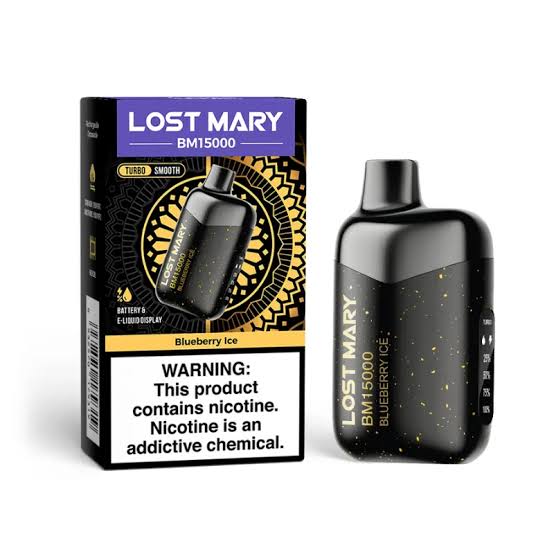 Lost Mary 15000 — Mesh Coil | Rechargeable | Compact Pocket Design